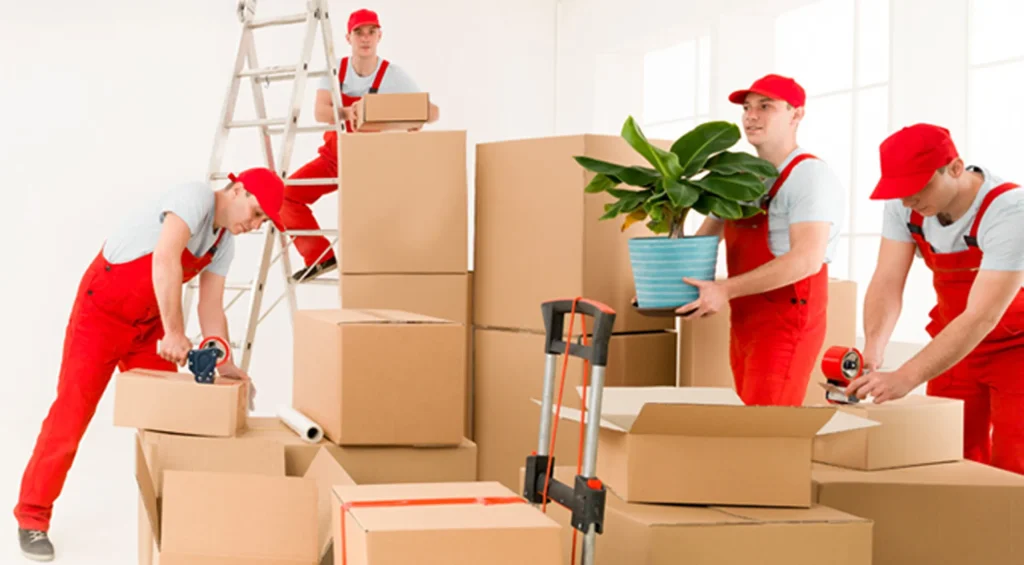 تجهیزات و وسایل نقلیه مورد استفاده در باربری