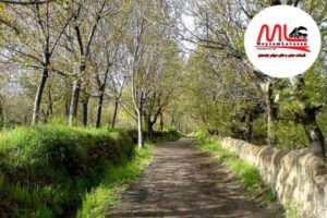 حمل-بار-به-آذرشهر