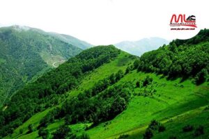 حمل-بار-به-اهر