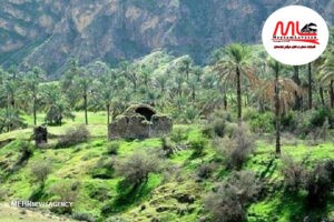 حمل-بار-به-جم