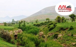 حمل-بار-به-شاهین-دژ